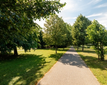 Pešpot skozi park