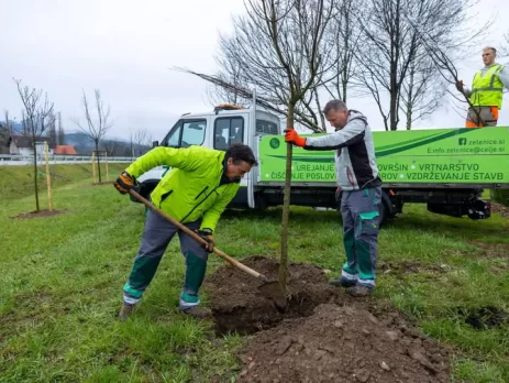 Je Celje dovolj zeleno